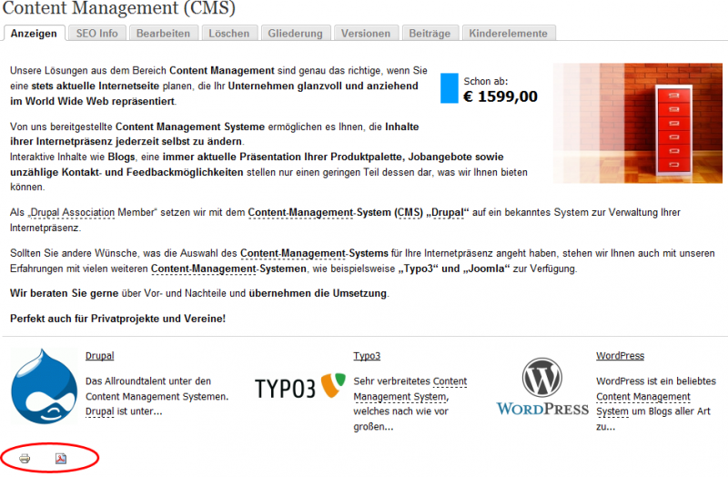 Buttons zum Druck oder Export eines Homepageinhalts (rot markiert). Webseiten PDF, Druck und E-Mail Versand mit Drupal CMS